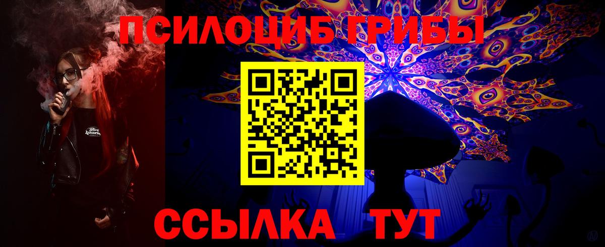 Псилоцибиновые грибы мицелий Чистополь