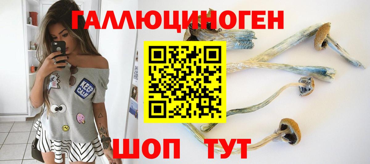 Псилоцибиновые грибы MAGIC MUSHROOMS  Вход с VPN  Чистополь 